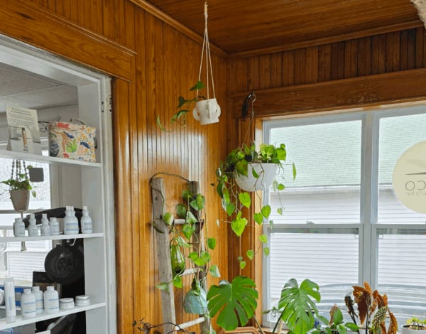 ECO Beauty Bar